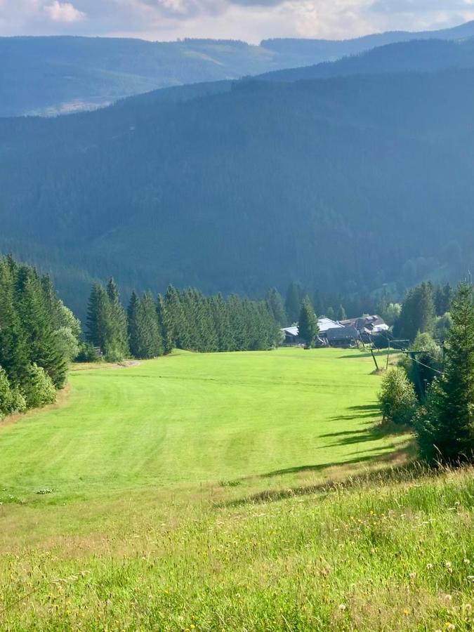 Das Alplresort "Almfrequenz" Krieglach Buitenkant foto