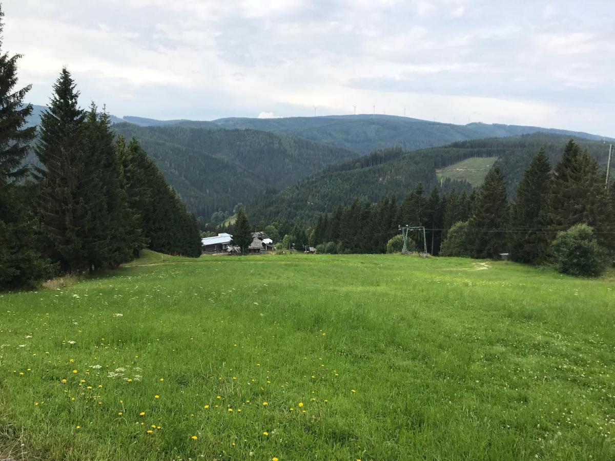 Das Alplresort "Almfrequenz" Krieglach Buitenkant foto